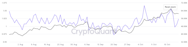 ViMoney - Sự điều chỉnh giá gần đây được thúc đẩy bởi những người nắm giữ Bitcoin ngắn hạn - Chỉ số SOPR và xu hướng giá