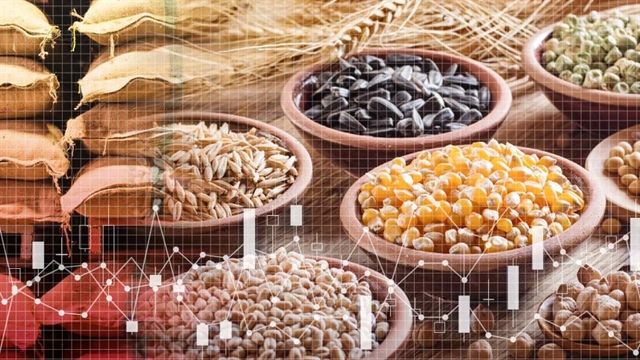 ViMoney: Trung Quốc tích trữ tới 70% lương thực thế giới, khiến giá toàn cầu tăng mạnh