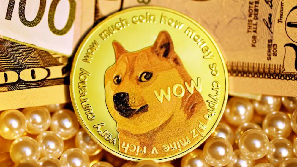 Big Eyes Coin là gì? Kẻ thách thức Dogecoin và Chillz