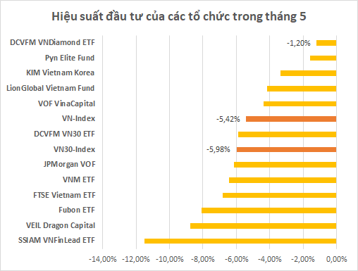 Các quỹ đầu tư lớn trên thị trường chứng khoán Việt Nam làm ăn ra sao trong tháng 5? - Ảnh 1.