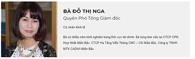 Chứng khoán Trí Việt tiếp tục biến động nhân sự ban Tổng giám đốc - Ảnh 1.