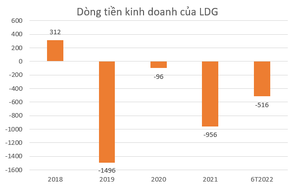 Sau nhiều lần trì hoãn, LDG lại lên kế hoạch trả cổ tức 2019 vào quý III hoặc quý IV năm nay - Ảnh 1.