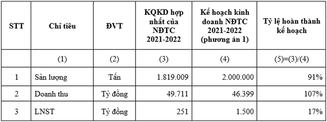 HSG: Lợi nhuận sau thuế hợp nhất NĐTC 2021-2022 đạt 251 tỷ đồng - Ảnh 1.