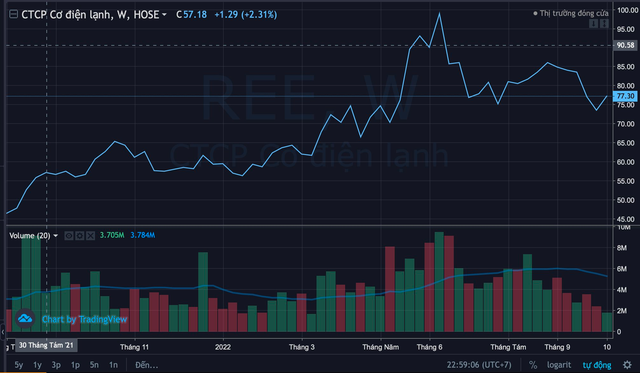 Quỹ ngoại Singapore muốn gom thêm gần 5 triệu cổ phiếu REE - Ảnh 1.