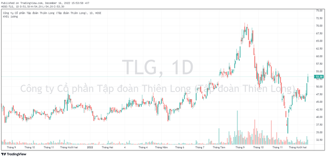Tập đoàn Thiên Long (TLG) chốt danh sách trả cổ tức bằng tiền, tỷ lệ 15% - Ảnh 1.