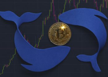 Tỷ lệ nắm giữ Bitcoin của các voi giảm xuống 25% nguồn cung BTC