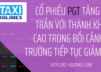 Cổ phiếu PGT chững lại với thanh khoản cao do thị trường tiếp tục giảm sâu