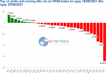 Cổ phiếu kìm hãm đà phục hồi của VN-Index trong tuần 16 – 20/8/2021