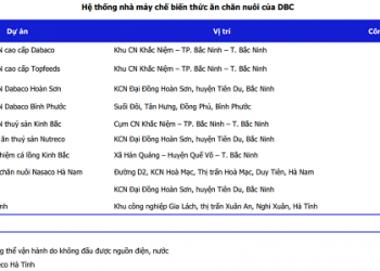 Khuyến nghị Mua cổ phiếu DBC, APH, MSH
