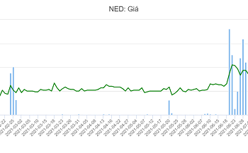 NED: Chủ tịch của công ty liên quan đã cố gắng để giảm sở hữu