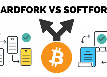 Soft Fork là gì? Hard Fork là gì? Sự khác biệt chính giữa Soft Fork và Hard Frok