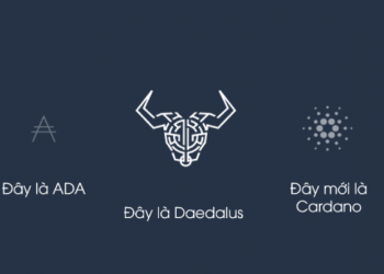 ViMoney - Cardano ADA