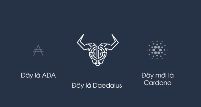 ViMoney - Cardano ADA