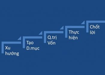 ViMoney - Quản trị vốn đầu tư