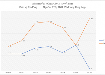 ViMoney - Lợi nhuận ròng của TNH và TTD