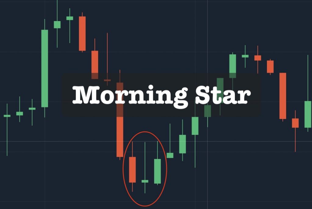 ViMoney - Morning Star .jpg