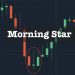 ViMoney - Morning Star .jpg