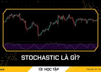 ViMoney - Stochastic - SKD.jpg