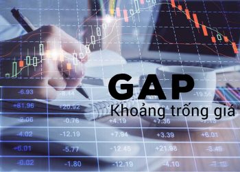 ViMoney - khoang trng-Windows (GAPS) .jpg