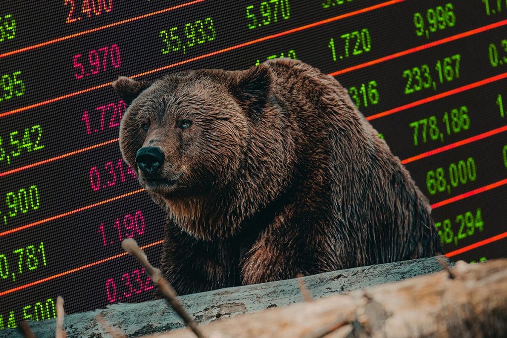 ViMoney-Bò và Gấu là gì? Cùng tìm hiểu về Bull Market và Bear Market - Bear Market