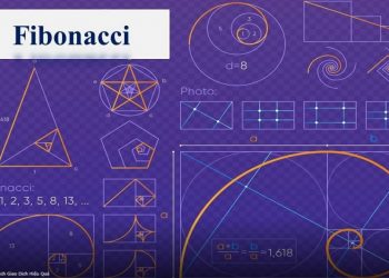 ViMoney - day so Fibonacci 4.jpg