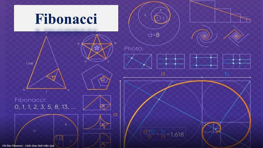 ViMoney - day so Fibonacci 4.jpg
