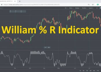 ViMoney - phan tram R.jpg
