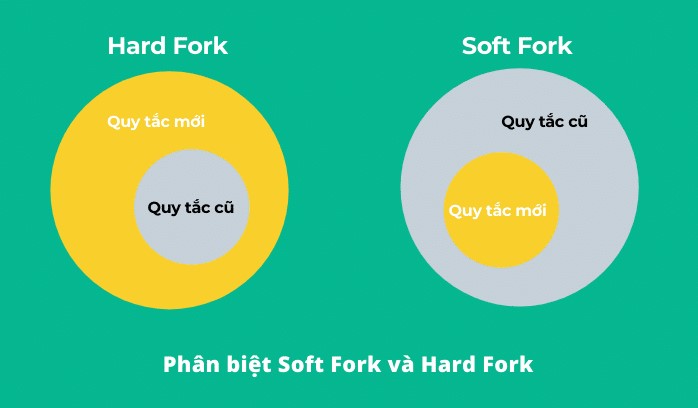 ViMoney: Soft Fork là gì? Hard Fork là gì? Sự khác biệt chính giữa Soft Fork và Hard Frok