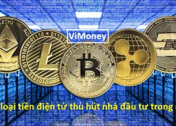 ViMoney - top-10-loai-tien-dien-tu-thu-hut-nha-dau-tu-2021.jpg;