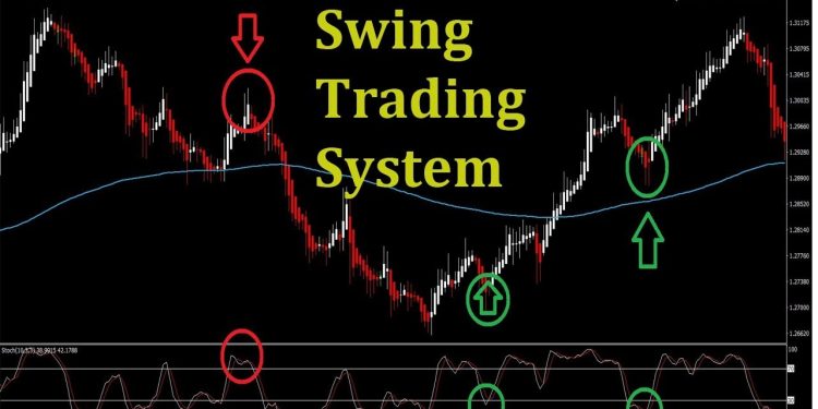 ViMoney - vung hanh dong - TAZ.jpg