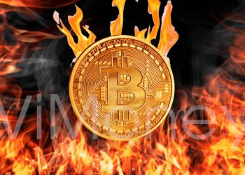 ViMoney - đốt - coin