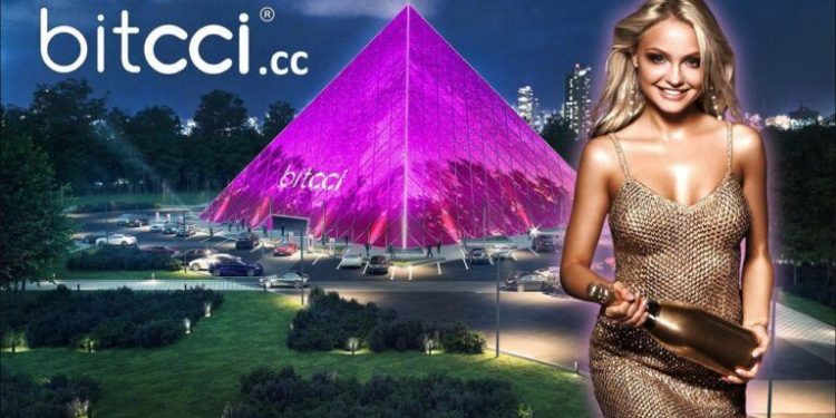 Công ty Thụy Sĩ Bitcci là viên ngọc quý tiếp theo trong ngành công nghiệp Blockchain