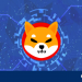 Nhiều bất ổn ám ảnh giá Shiba Inu, xu hướng giảm sẽ tiếp tục?