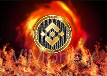 ViMoney - Binance coin - Đốt coin