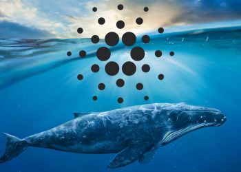 Quá trình hợp tác Mạng, ADA và SOL của Cardano là gì?