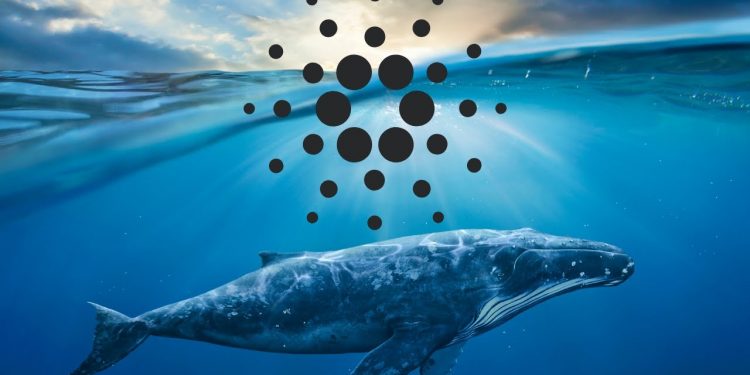 Quá trình hợp tác Mạng, ADA và SOL của Cardano là gì?