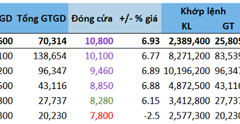 BII trở thành cổ đông lớn của TDH