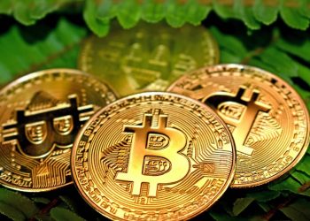 ViMoney-phim-tai-lieu-dau-tien-duoc-tai-trobang-bitcoin-btc-1