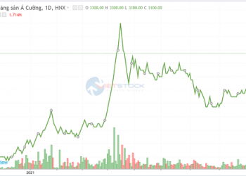 Chủ tịch Khoáng sản Á Cường (ACM) muốn rời ghế cổ đông