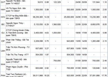 Giao dịch nội bộ tuần 20-24/9: Giao dịch lớn tại HHV, PVI, FIT và ITA