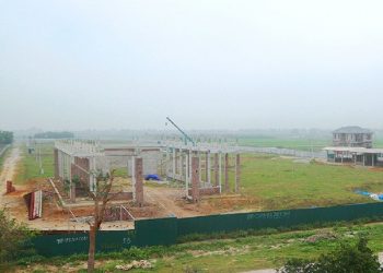 Dự án 670 tỷ đồng ở Thanh Hóa “đắp chiếu” thành đồng cỏ nuôi bò