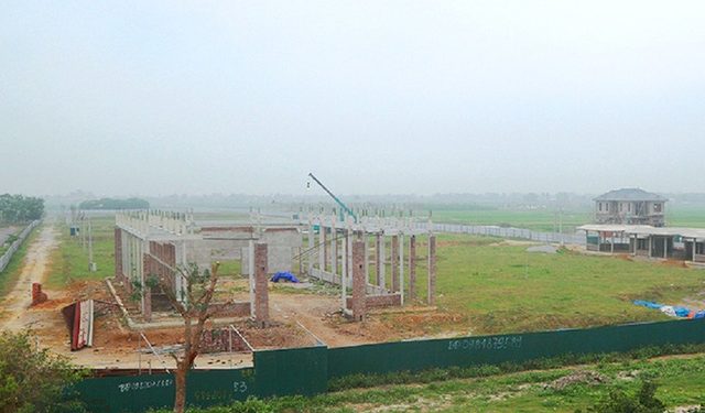 Dự án 670 tỷ đồng ở Thanh Hóa “đắp chiếu” thành đồng cỏ nuôi bò