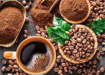 EPC: cổ đông lớn muốn bán gần 25% vốn cho Chủ tịch