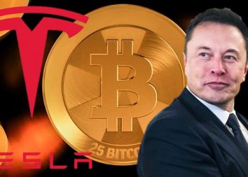 Giám đốc điều hành Tesla, Elon Musk cho rằng tiền điện tử không thể bị phá hủy
