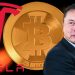 Giám đốc điều hành Tesla, Elon Musk cho rằng tiền điện tử không thể bị phá hủy