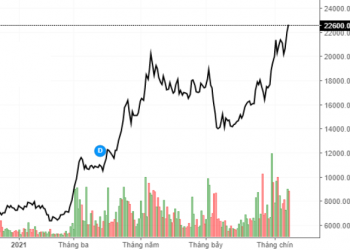 Cổ phiếu lập đỉnh, người nhà lãnh đạo TLH đăng ký bán 2,3 triệu cổ phiếu