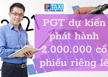 Sau ĐHCĐ, 2 triệu cổ phiếu PGT dự kiến sẽ được phát hành riêng lẻ