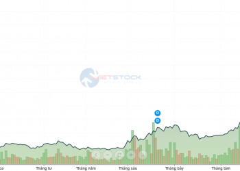 TGG đã gom thành công 3 triệu cổ phiếu APG