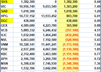 VNM ETF cơ cấu danh mục trong tuần 13 – 17/9/2021