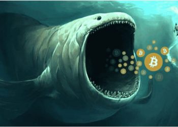 Nhiều cá voi Bitcoin “thức giấc”, khởi động ví tiền khổng lồ sau nhiều năm ngủ say